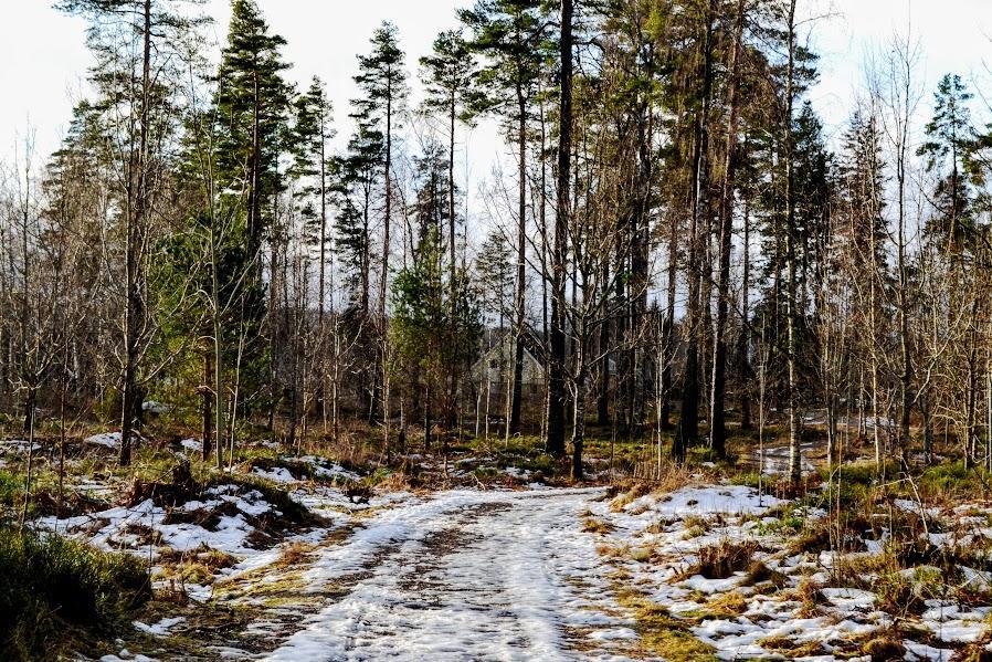 Гостевой дом Marston Hill Мулльшё Экстерьер фото